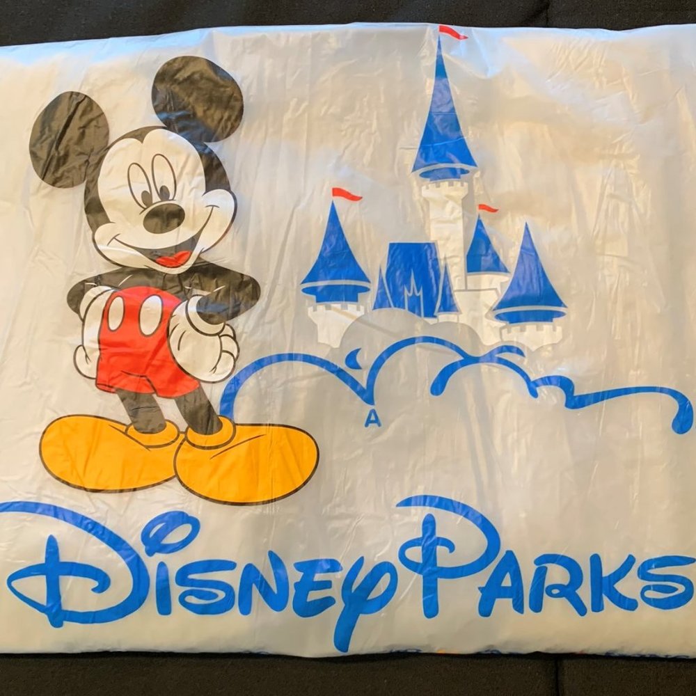 Disney Poncho